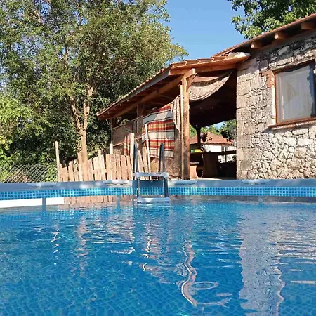 мехса Svetoslav